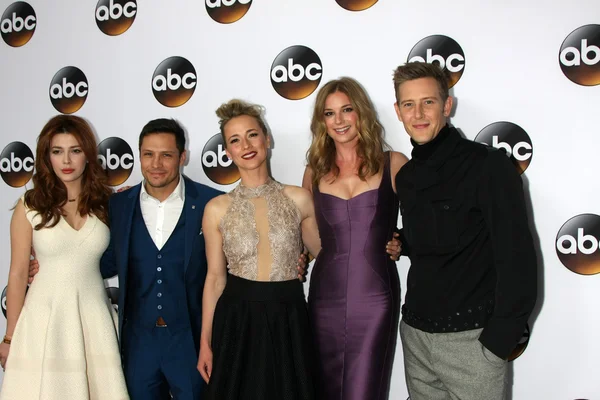 Elena Satine, Nick Wechsler, Karine Vanasse, Emily Vancamp, Gabriel Mann — Foto de Stock