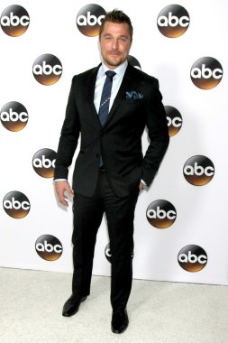 Chris Soules