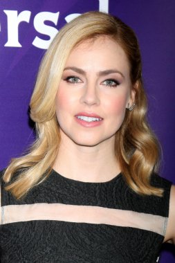 Amanda Schull