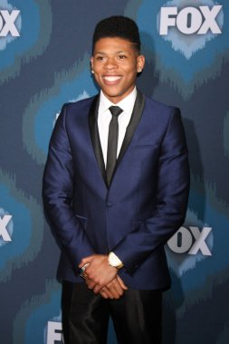 Bryshere gri