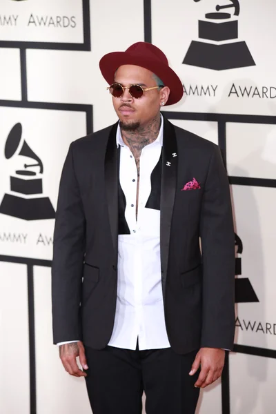 Chris Brown. — Foto de Stock