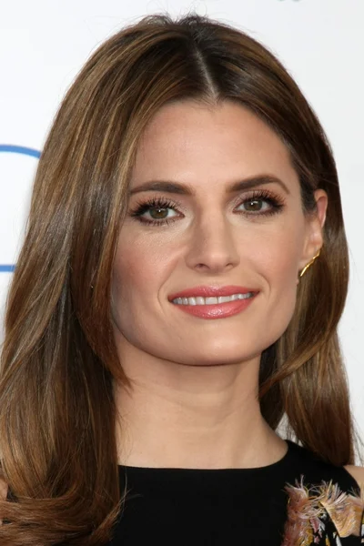 Stana Katic Ordförande — Stockfoto