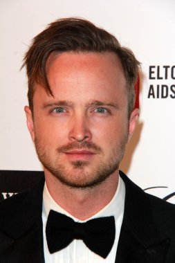 Aaron Paul