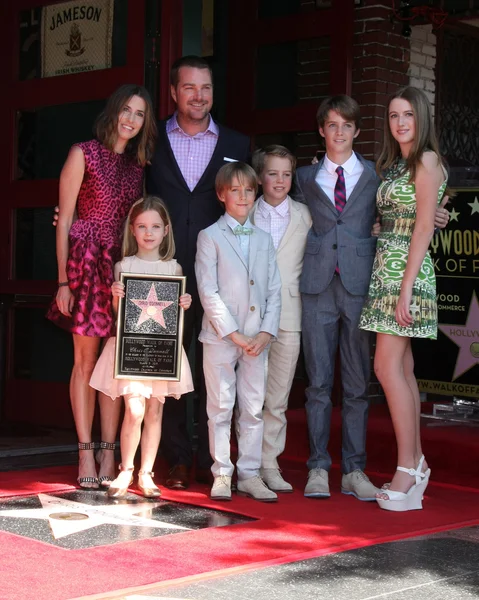 Caroline Fentress O'Donnell, Chris O'Donnell, Lily Anne O'Donnell, Charles Mchugh O'Donnell, Finley O'Donnell, Maeve Frances O'Donnell, Christopher O'Donnell Jr — Zdjęcie stockowe