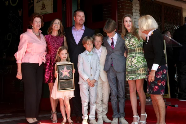 Caroline Fentress O'Donnell, Chris O'Donnell, Lily Anne O'Donnell, Charles Mchugh O'Donnell, Finley O'Donnell, Maeve Frances O'Donnell, Christopher O'Donnell Jr, Julie Ann Rohs von Brecht O'Donnell — Zdjęcie stockowe