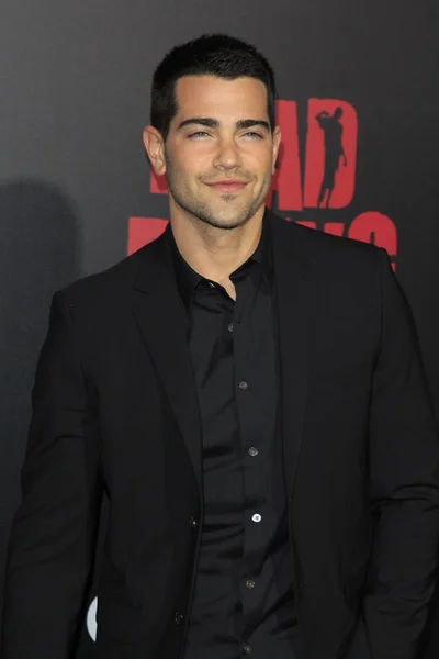 Jesse Metcalfe — Foto de Stock