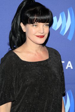 Pauley Perrette