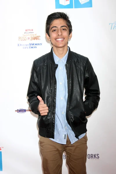 Karan Brar — Stock Photo, Image