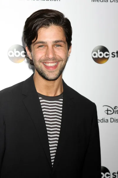 Josh Peck — Stock Photo, Image