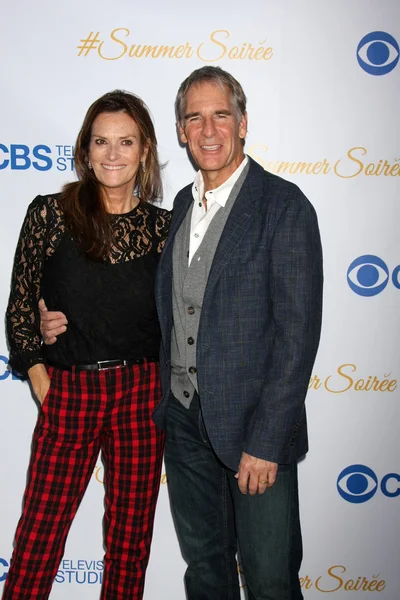 Chelsea fältet, scott bakula — Stockfoto