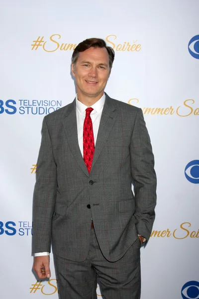 David Morrissey — Stockfoto