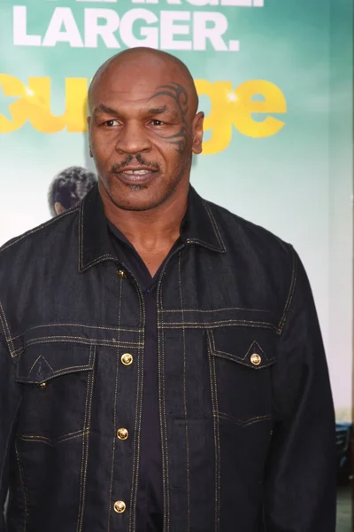 Mike Tyson — Stock Photo, Image