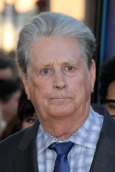 Brian Wilson — Stock Photo, Image