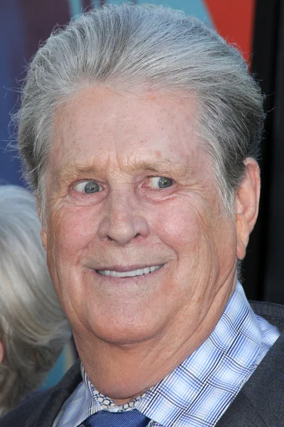 Brian Wilson. — Foto Stock