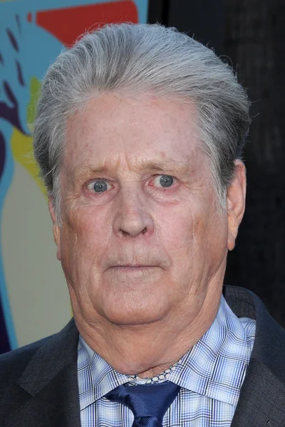 Brian Wilson. — Foto Stock