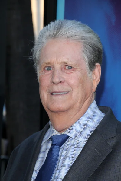 Brian Wilson — Stock Photo, Image