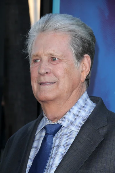 Brian Wilson. — Foto Stock