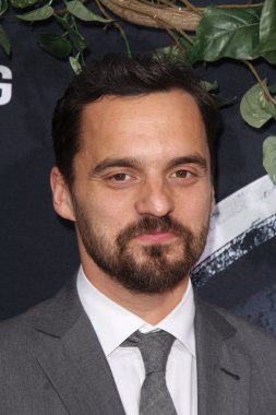 Jake M. Johnson