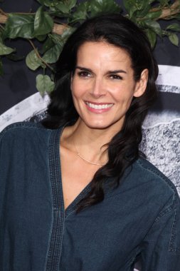 Angie harmon