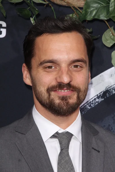 Jake M. Johnson