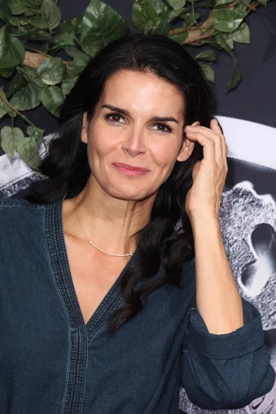 Angie Harmon — Stock Photo, Image