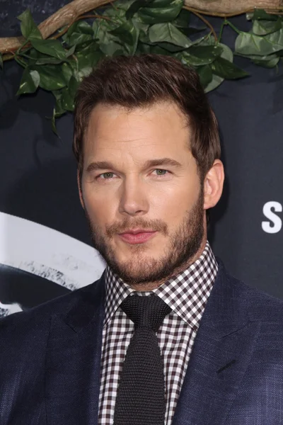 Chris Pratt — Stockfoto