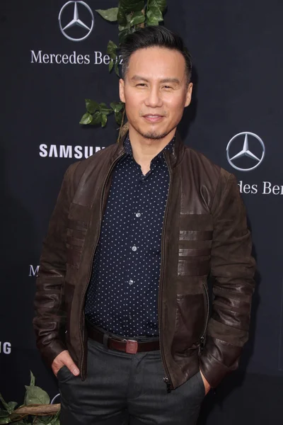 BD wong — Stok fotoğraf