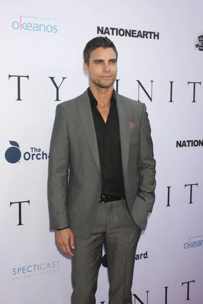 Colin Egglesfield — Stockfoto