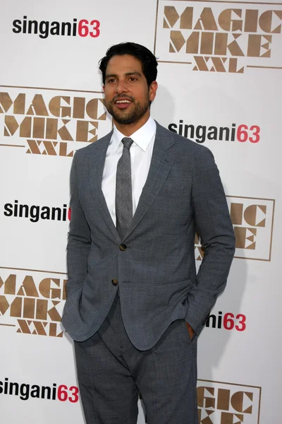 Adam Rodriguez — Stok fotoğraf