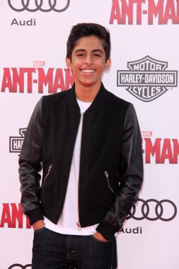 Karan Brar