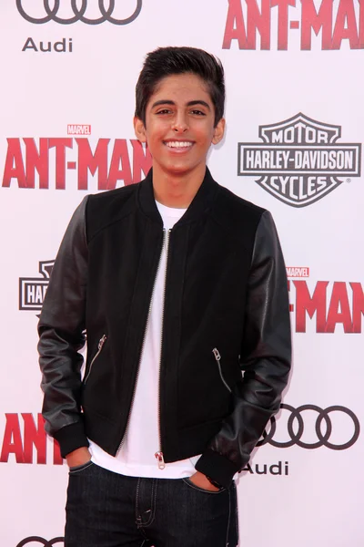 Karan Brar — Foto Stock