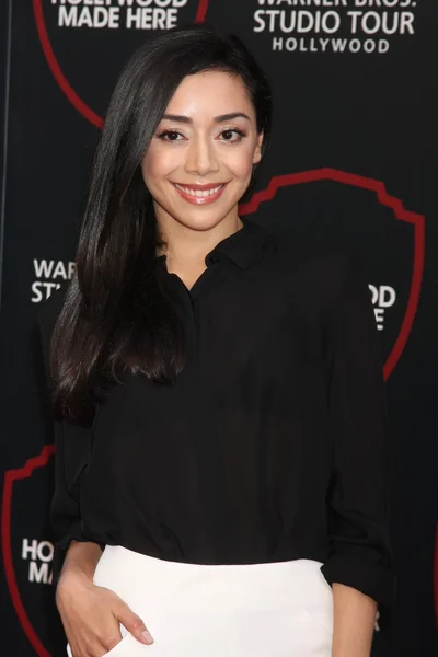 Aimee garcia künstler — Stockfoto