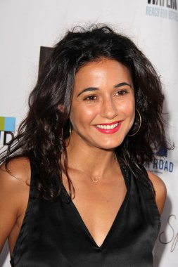 Emmanuelle Chriqui