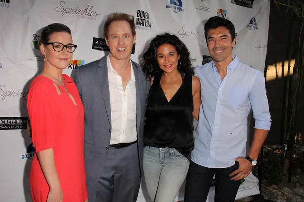 Kathleen Robertson, Raphael Sbarge, Emmanuelle Chriqui, Ian Anthony Dale — 스톡 사진