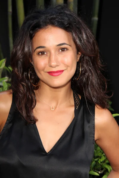 Emmanuelle Chriqui —  Fotos de Stock