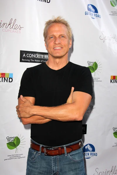 Patrick Fabian — Stockfoto