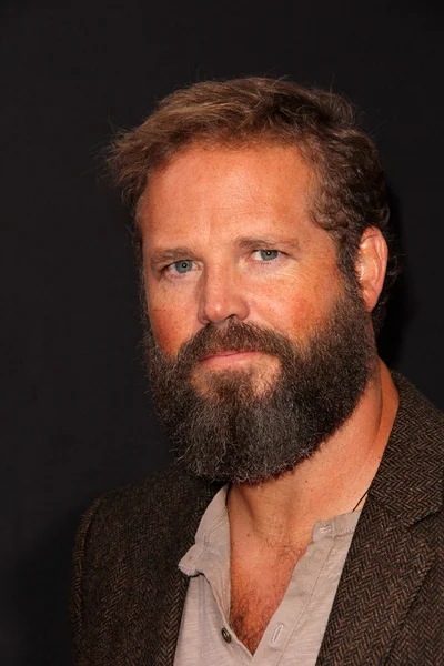 David Denman — Stockfoto