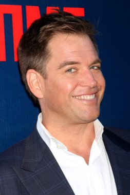 Michael Weatherly'nin