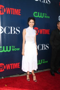 Julia Goldani Telles