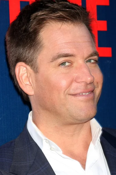 Michael Weatherly — Stock Fotó