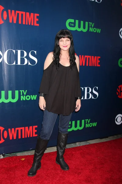 Pauley Perrette — Stock fotografie