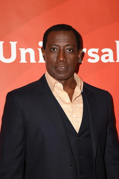 Wesley Snipes — Stock Photo, Image