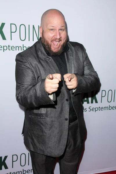 Stephen kramer glickman — Stock Fotó