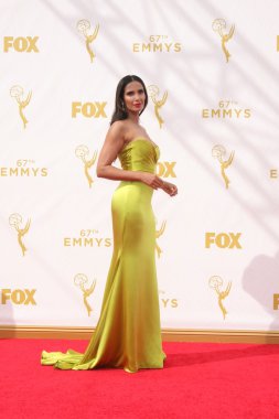 television host Padma Lakshmi