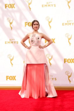 şarkıcı Joanna Newsom