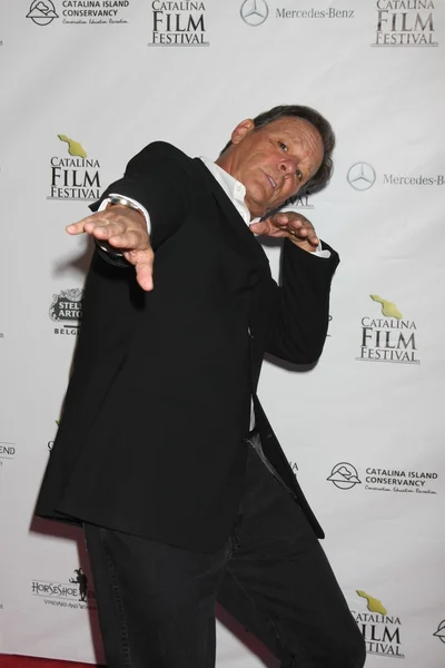 Chris Mulkey — Stockfoto