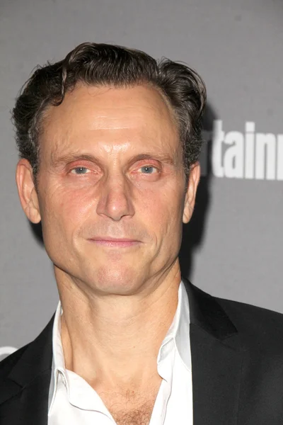 Actor Tony Goldwyn — Stock Photo, Image