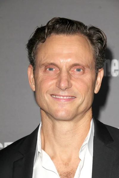 Actor Tony Goldwyn — Stock Photo, Image