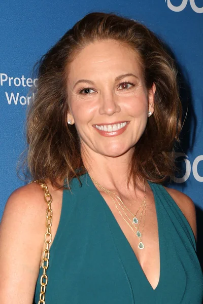 Diane Lane — Stockfoto