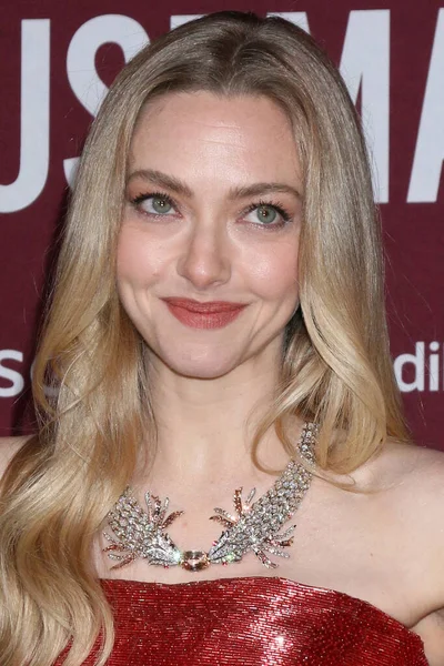 Amanda Seyfried, The Housemaid Prömiyer at the TCL Chinese Theater IMAX 15 Aralık 2025, Los Angeles, CA